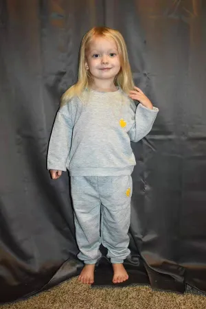 DLH2699 Wholesale fall clothing grey long sleeve pullover sweatshirt suit w/embroidery